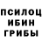 Псилоцибиновые грибы Magic Shrooms Knox Garfallen