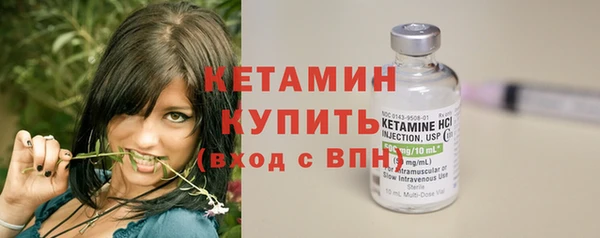 стафф Новозыбков