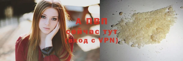 стафф Новозыбков