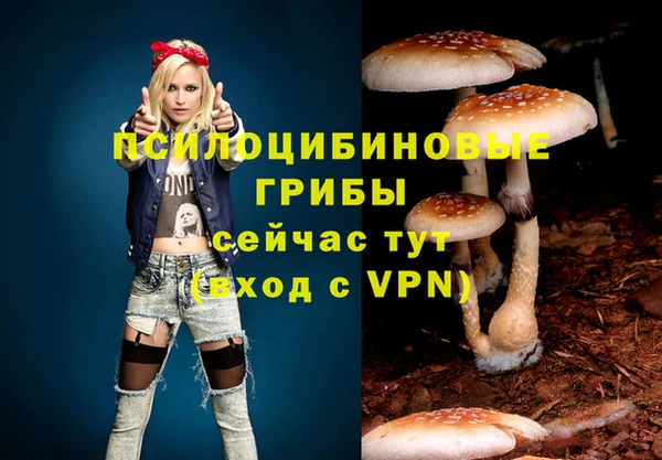 каннабис Новодвинск