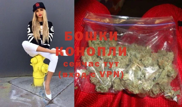 стафф Новозыбков