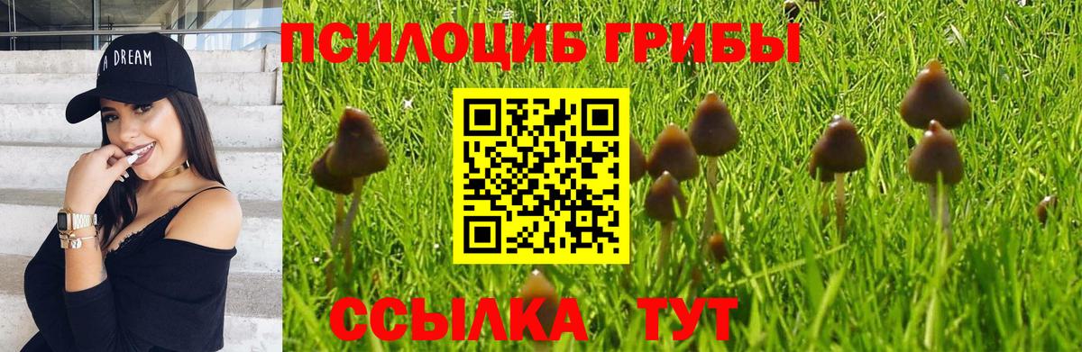Евпатория  цена   Вход с VPN  Псилоцибиновые грибы GOLDEN TEACHER  Галлюциногенные грибы Psilocybe 