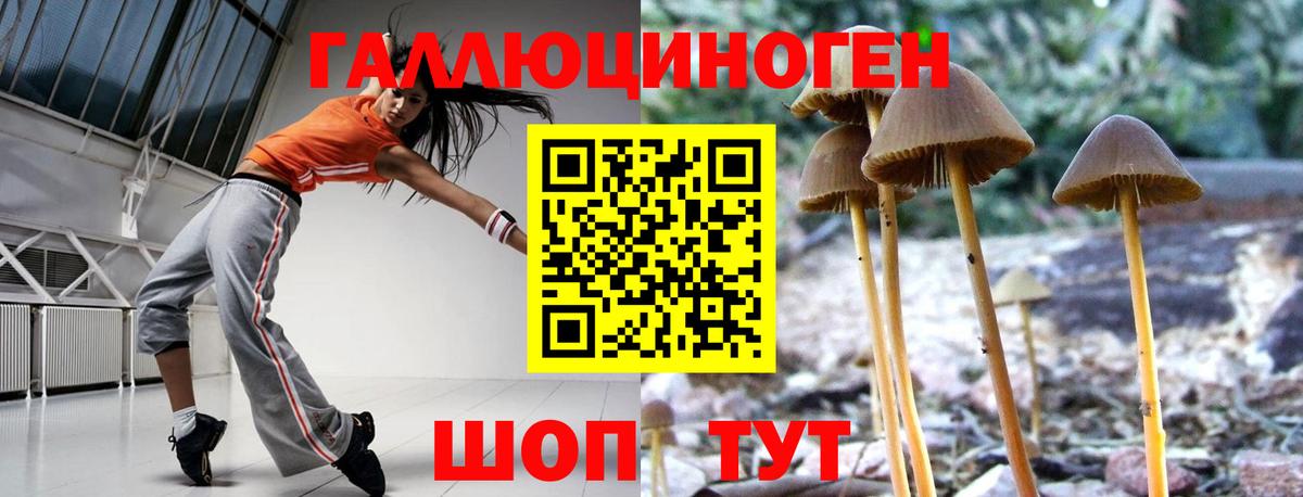 Псилоцибиновые грибы мухоморы Евпатория